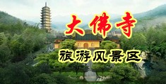 大黑吊草逼中国浙江-新昌大佛寺旅游风景区